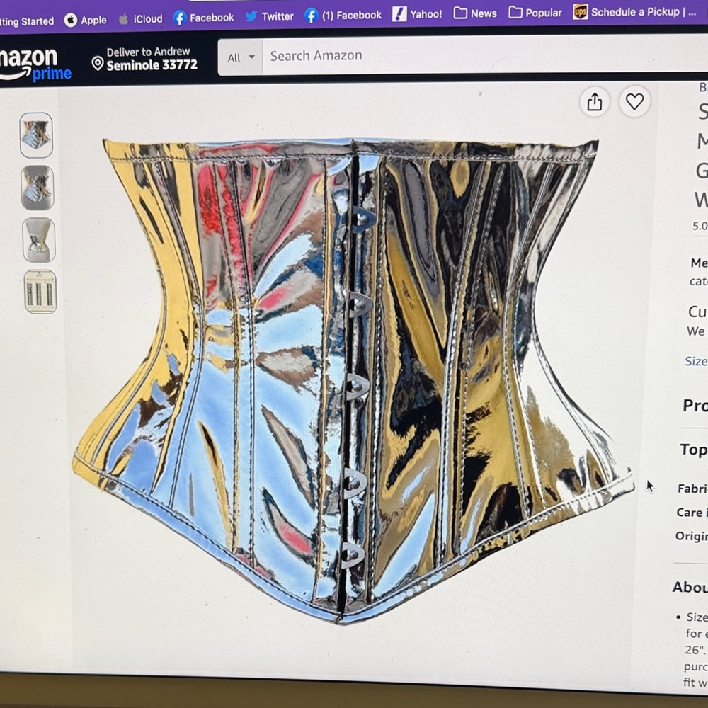 Metallic Silver Waist Cincher Corset - Women Accessories